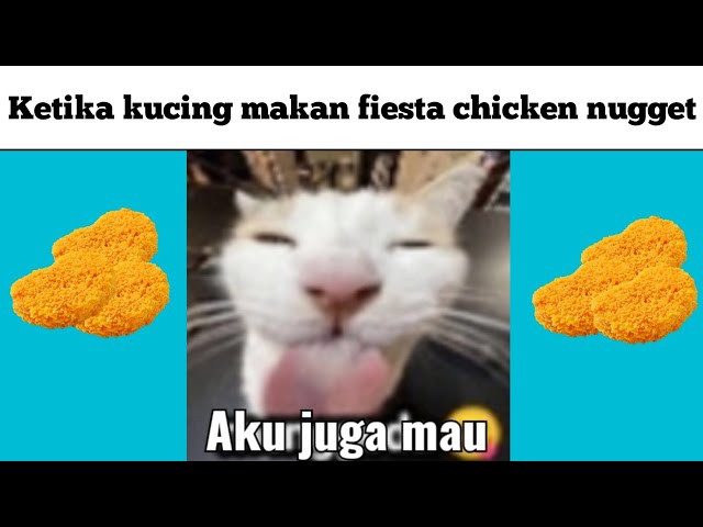 kucing ketika makan fiesta chicken nugget class=