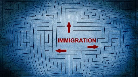 Navigating the H 1B Maze