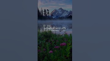 ولقد جعلنا في السماء بروجًا وزينٰها للنٰظرين: من سورة الحجر / القارئ ياسر الزيلعي..