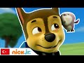 Pati Devriyesi | Eğitim Görevleri - 2. Bölüm | Nick Jr.