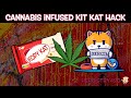 How-to Make Cannabis Infused Kit Kat Bars | Copycat Hack | Herbistry420