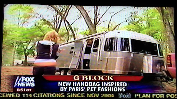 James Piatt - Tinkerbell Handbag (Fox News) Paris ...
