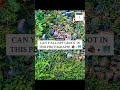 👾  @iSPYGROOT GAMES 🧩 • #mothernature #naturephotos #memesvideo #ispy #groot #iamgroot #freegames