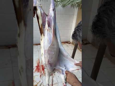 طريقة سلخ التيس في 6 دقايق