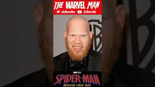 Casting Méchant Spider-Man Brand New Day Tombstone