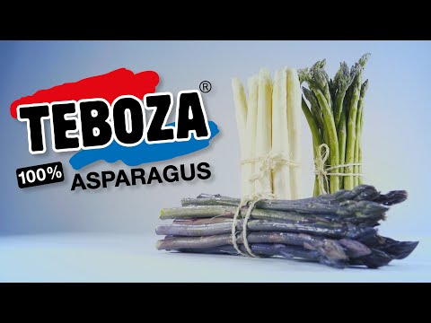 Teboza - Corporate