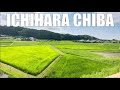 Amazing!!Jom ke 5 best place ICHIHARA dekat Tokyo