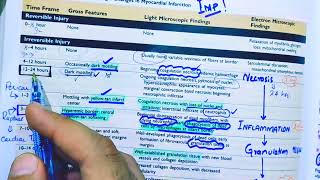 Morphological changes in myocardial infarction||Morphology of MI||MI Morphology||Robbins pathology