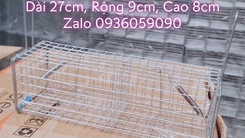 Lồng bẫy chuột 2 cửa vào. Lồng bẫy chuột đường mòn. Lồng bẫy chuột đàn. Lồng bẫy chuột đồng.