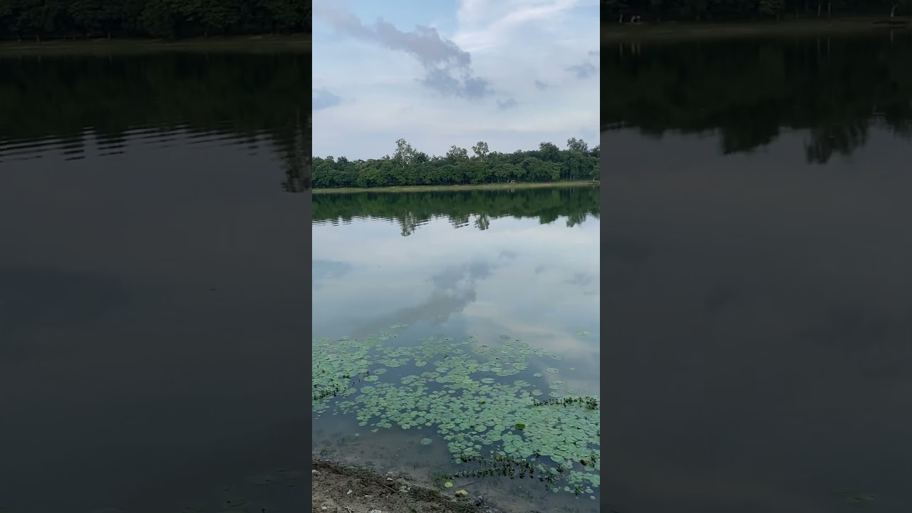 Ramsagar National Park #shorts