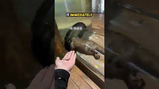 A 4-Year-Old Said This And Silenced The Room The Otter Wanted To Know What The Gift Was Qhehs...