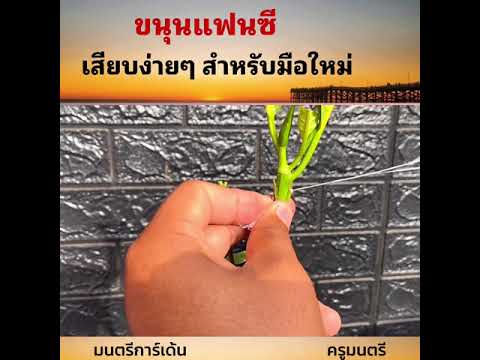เสียบขนุนแฟนซี