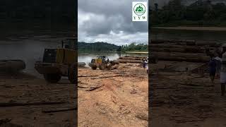 A riverside logging site in the Gabonese forest area, where logs are being loaded and unloaded