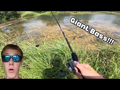 Big Bass Fishing