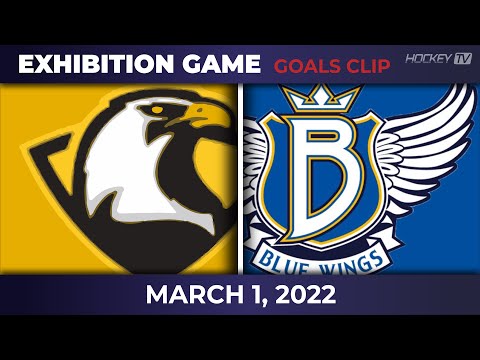 수원이글스 vs 블루윙스 친선경기 [GOAL]  2022.03.01