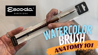 Watercolor, brush, anatomy, tutorial 101 beginner screenshot 5