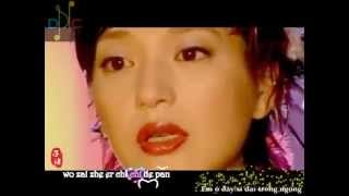 [Vietsub] Chuyến Tàu Ly Biệt (Tân dòng sông ly biệt OST) - Triệu Vy