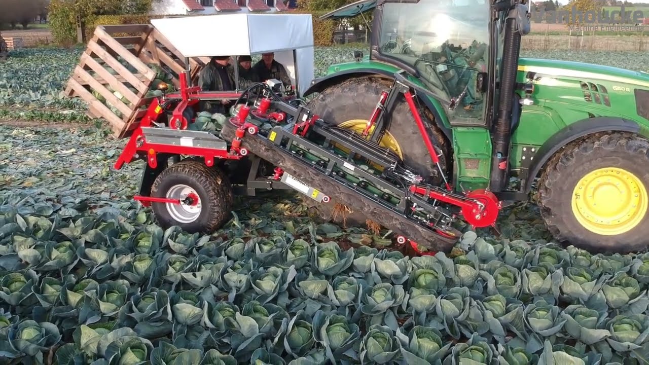 Koolrooier versmarkt met dubbele box