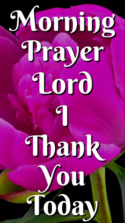 Morning Prayer: Lord, I Thank You Today