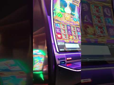 champion casino signup bonus,casino bonus,fountain casino signup bonus,vbet casino signup bonus