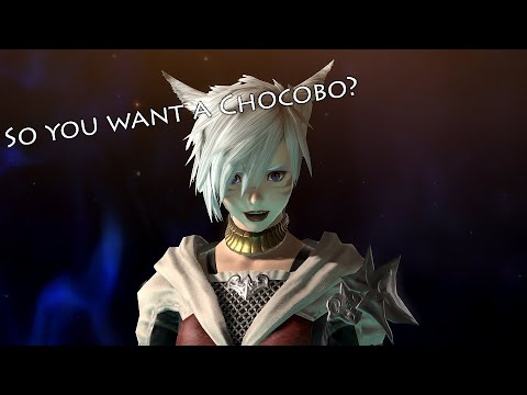 Final Fantasy XIV * Guía para nuevos jugadores * ¡Cómo conseguir tu montura Chocobo!