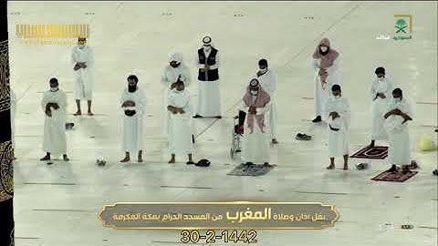 تلاوة بلمحات كردية |لسورتي الشمس - الليل |مغرب 30 صفر 1442هـ| للشيخ د. ماهر المعيقلي