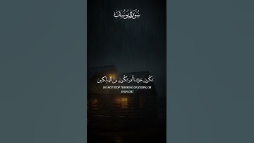 قرأن كريم صوت من سماء سورة يوسف #quran #قران_كريم #