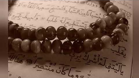 سورة العاديات _ محمود عبدالحكم