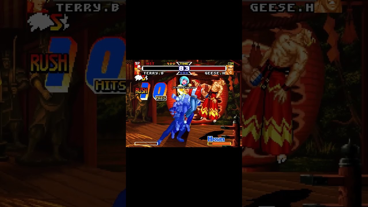 REAL BOUT FATAL FURY DOMINATED MIND - TERRY COMBO 2 
