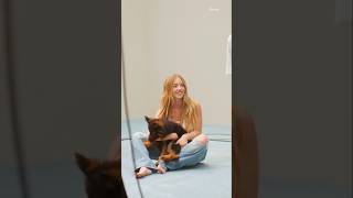 Sydney Sweeney American Eagle Sydney Sweeney Has Great Jeans Behind The Scenes