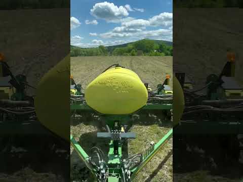 Spring Planting #shorts