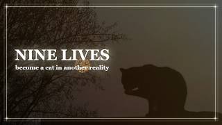 you are a cat | reality shifting subliminal