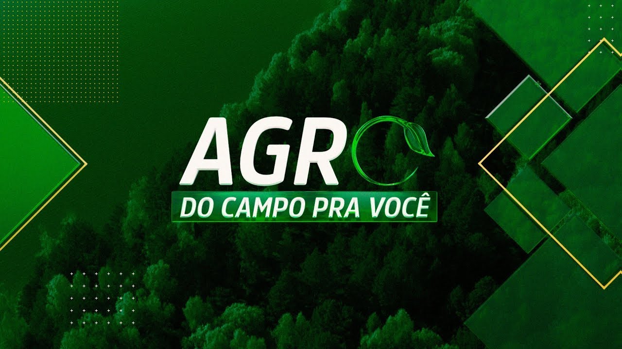 AGRO: DO CAMPO PRA VOCÊ – 11/02/2024