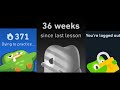 DUOLINGO WIDGETS but they get progressively WORSE