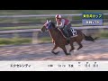 2026年東京湾カップ調教VTR