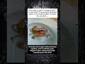 Crabs Literally “Upgrade” Their Bodies?!