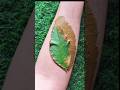 Simple Leaf Mehndi design🌿 #shorts #leafhenna #creativehenna #artofhenna #dailymehndi