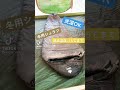 寝袋はこれで決まり【便利道具】