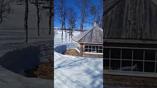 Spring Is Here ❄️🌱