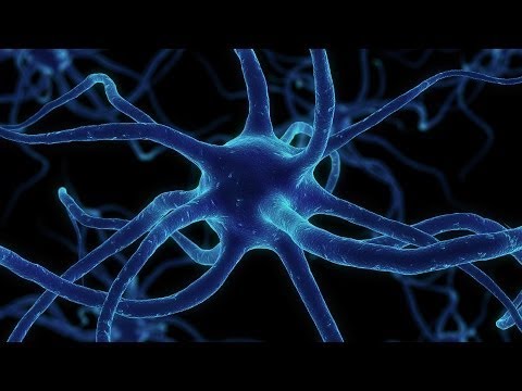 Наука и Техника HD Бактерии убийцы