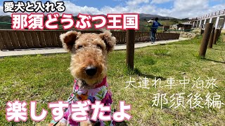 那須どうぶつ王国が犬連れでもめちゃくちゃ楽しめたよ【1週間3100km車中泊旅】