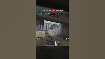TF2 voicechat moment