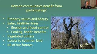 2026 Mini-grants for invasive plant control