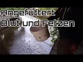 Aale angefüttert mit Blut und Fetzen | Aale Tag und Nacht | Staffel 3 Folge 4