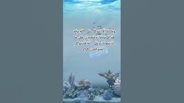 ومالنا الا نتوكل على الله تلاوة مؤثرة للشيخ عبدالله القرافي