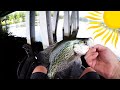 How To Find And Catch Crappie In The Summer (IN-DEPTH)