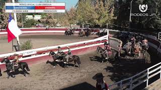 RODEO OFICIAL CLUB CODEGUA - ASOCIACION OHIGGINS - PRIMER ANIMAL