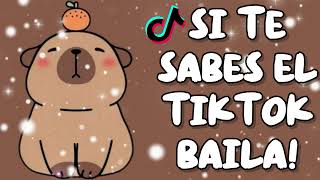 Download Lagu SI TE SABES EL TIKTOK BAILA! - 2025 MP3