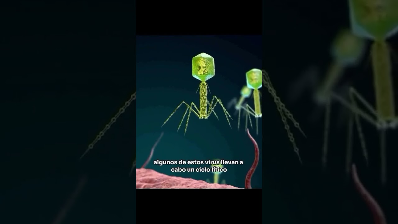 Los Bacteriófagos 