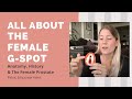 Is The Female G Spot Real? Where Is The G Spot? What Does The G Spot Do? All About The Female G Spot